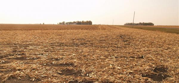 "SOLD" William & Ardene Post MN R.E. Trust