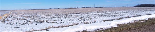 "SOLD" Racine Family - Prime Southern Minnesota 140.05 Acres Ewington Township