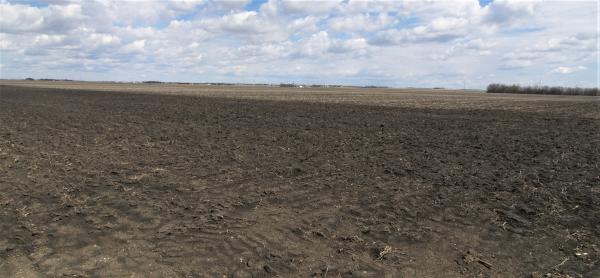 Post Trust - 160+/- Acre Land Auction 