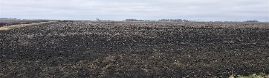 Richard Ulbricht 80+/- Acres Ewington Township Jackson County, Minnesota Land Auction.