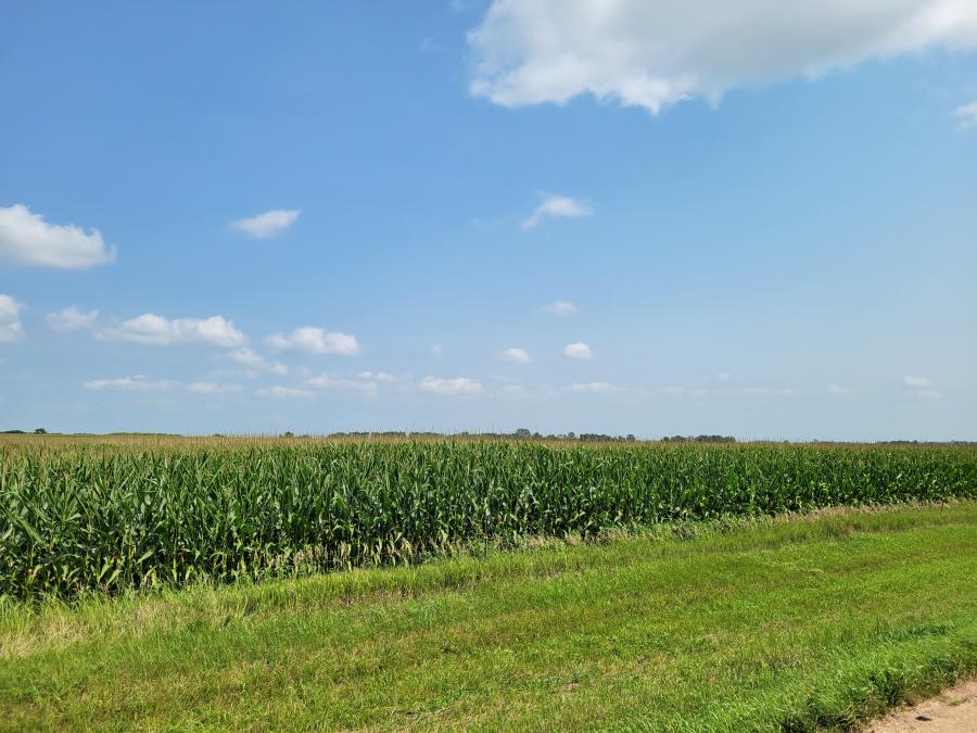 ROSELLA SMITH FAMILY 129.07+/- ACRE AMO TOWNSHIP COTTONWOOD COUNTY MINNESOTA LIVE & ONLINE FARMLAND AUCTION