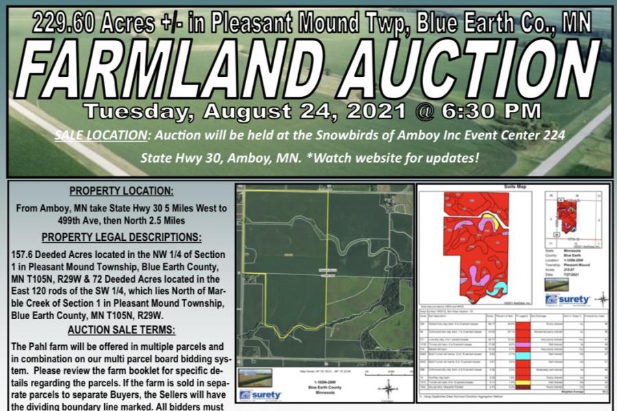 Bare Farmland Auction in Blue Earth County, MN